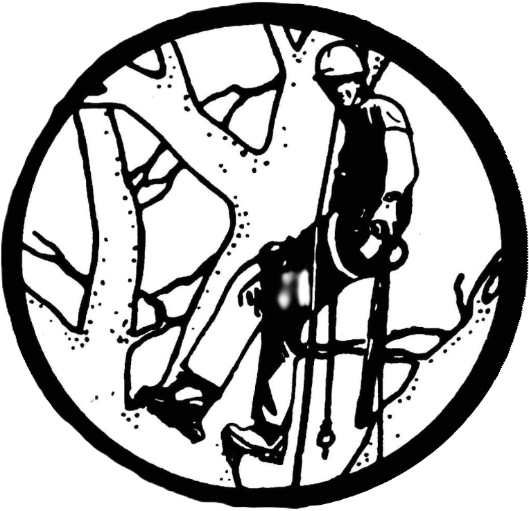 Pegher Tree Services