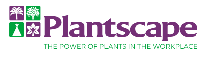 Plantscape